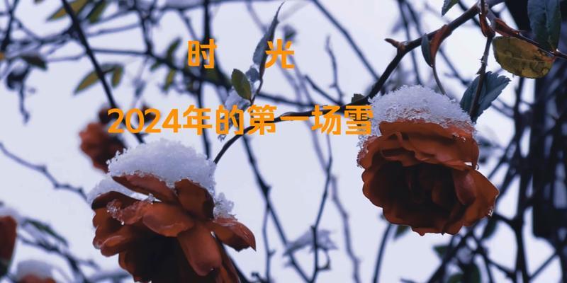 冬天第一场雪说说？如何记录和分享这个特别的时刻？