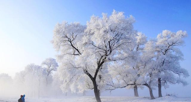 冬天第一场雪发朋友圈说说怎么写？有哪些创意文案推荐？