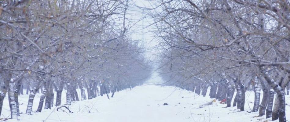 冬天第一场雪的浪漫情话说说？如何用话语表达初雪的浪漫？