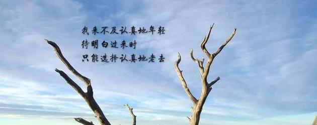 冬天的唯美句子伤感说说朋友圈怎么写？有哪些句子适合发朋友圈？