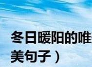 冬天的句子说说短一些的？如何用简短的话语表达冬季情感？