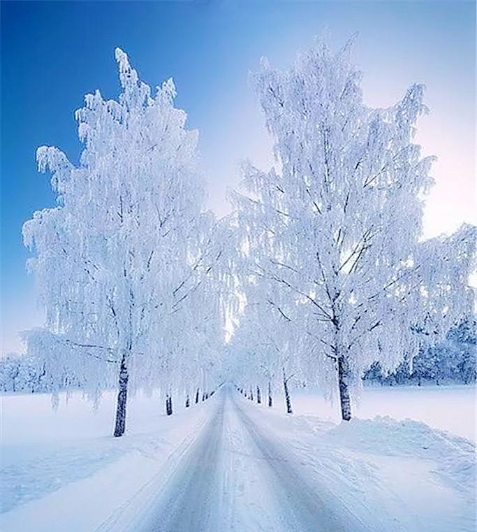 冬天的第一场雪说说？如何记录这个特别的时刻？