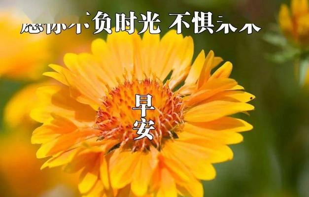 冬季早安暖心祝福语怎么写？有哪些温馨的句子推荐？