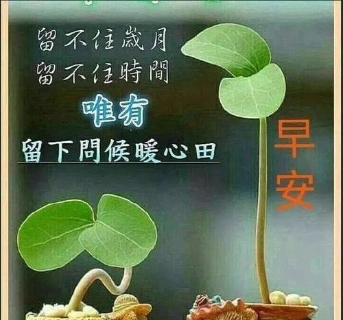 冬季早安暖心祝福语怎么写？有哪些温馨的句子推荐？