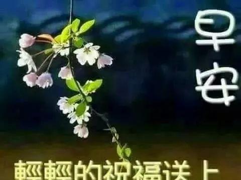 冬季早安暖心祝福语怎么写？有哪些温馨的句子推荐？