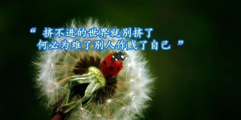 调整心态的正能量名言有哪些？如何运用到日常生活中？