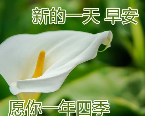 元旦祝福语朋友圈怎么写？最经典的句子有哪些？