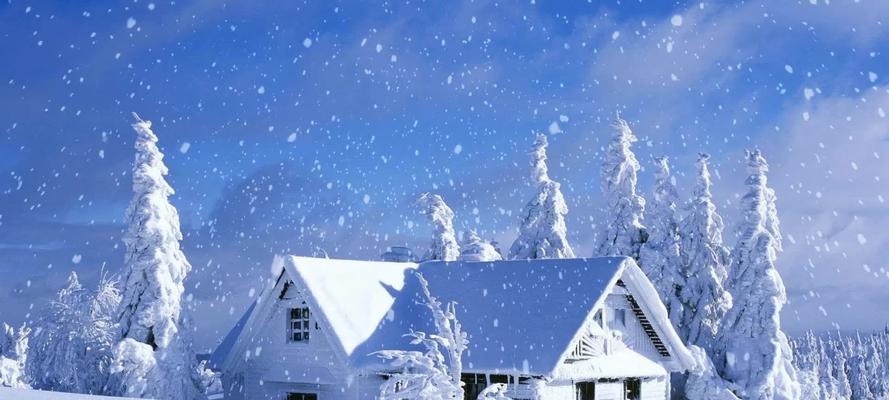 第一场雪的唯美句子有哪些？如何用文字描绘初雪的美？