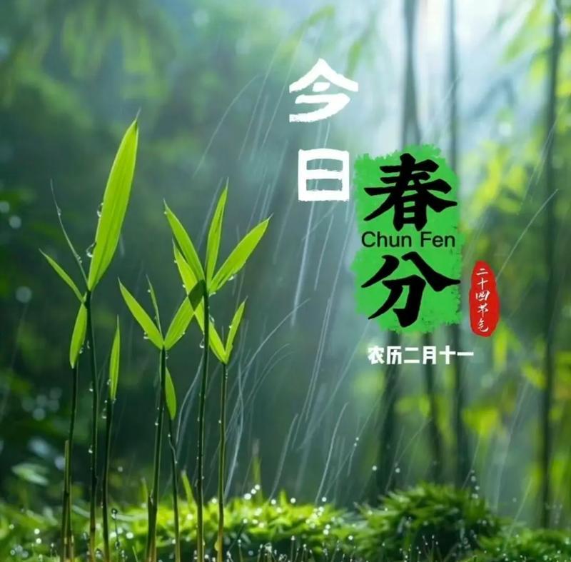 《春分草市，古韵今风》