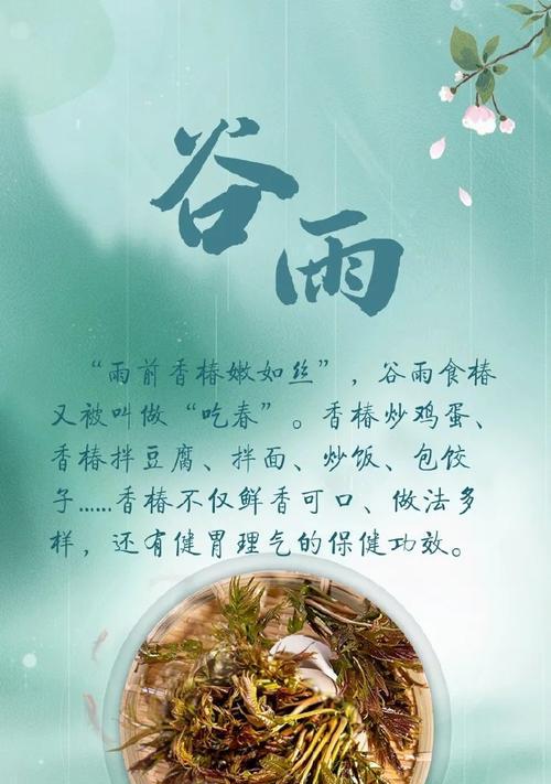 《谷雨香椿炒蛋：春之味觉记忆》