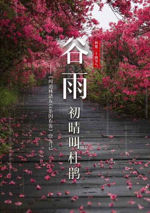 《星辰下，细雨润心田：谷雨时节的传统文化意蕴》