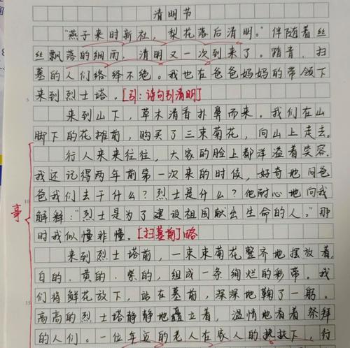 疫在清明作文