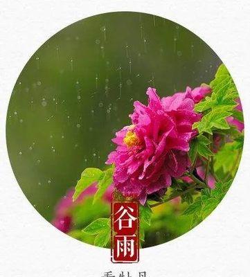 《谷雨花事：摘抄之雅韵》