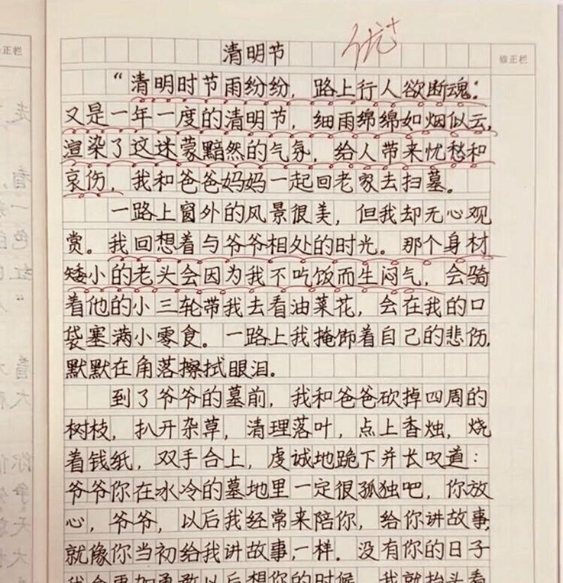 《清明祭祖路上的少年》