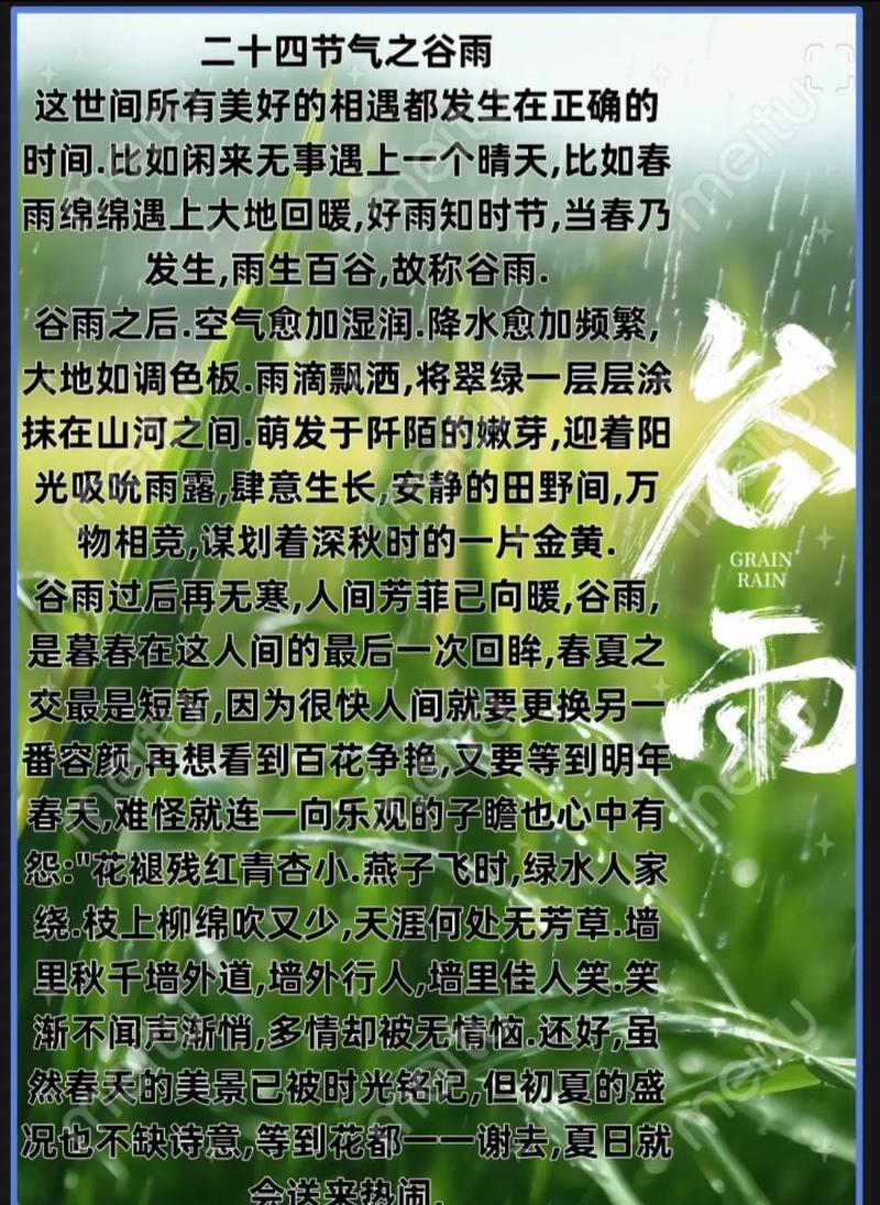 春雨润心田，书卷育英才