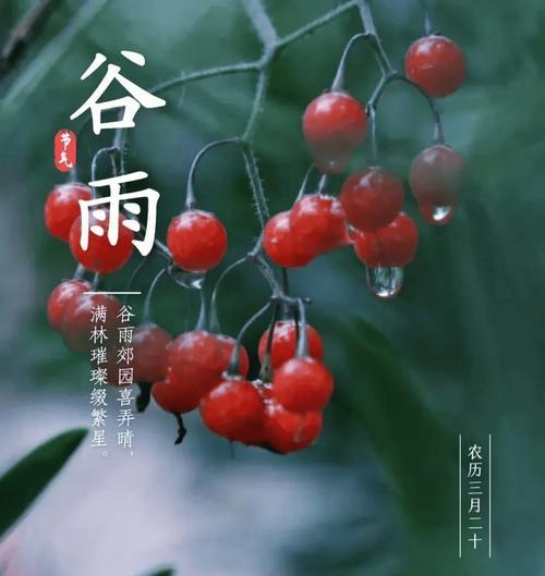 谷雨时序：墨染春愁，诗心细雨