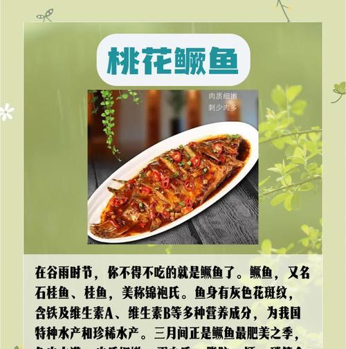 谷雨时雨润心田，佳肴绘意赋诗篇