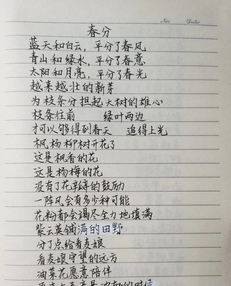 《春分之际，岁月静好》