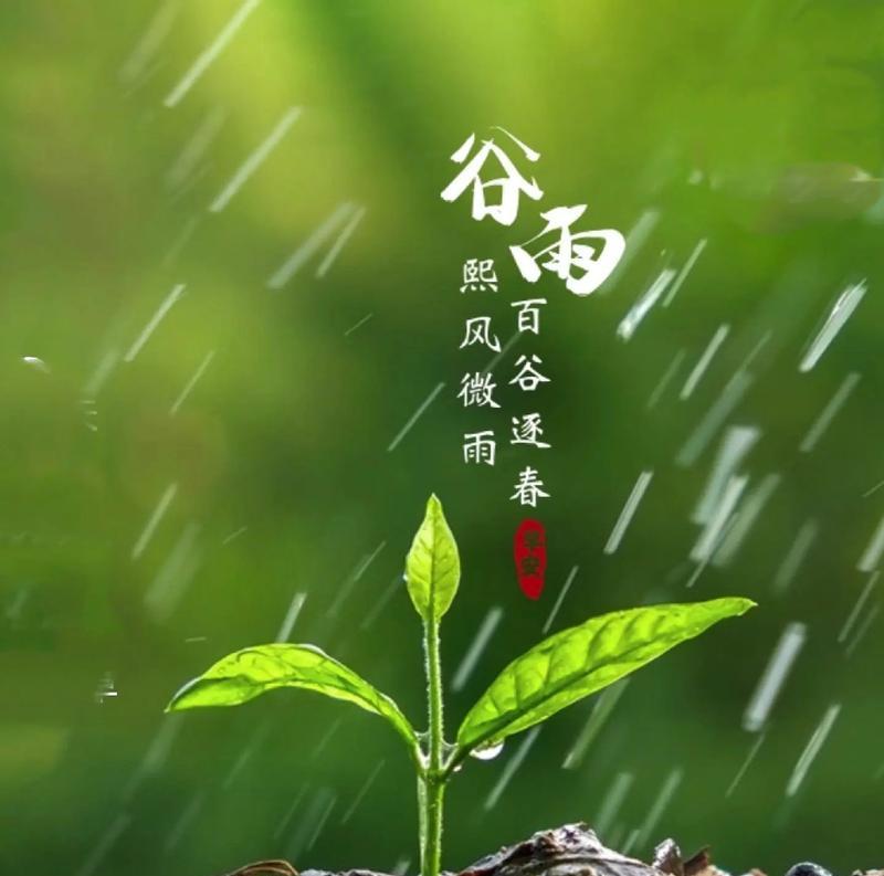 《谷雨润心田，万象更新时》
