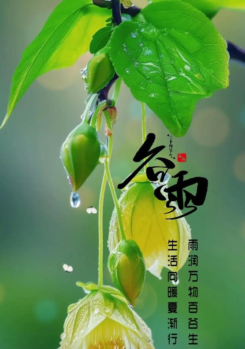 《谷雨花赋：春末夏初的诗意绽放》
