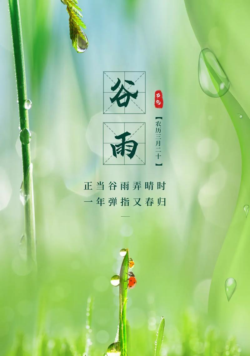 《润泽细无声：谷雨雨天的诗意篇章》