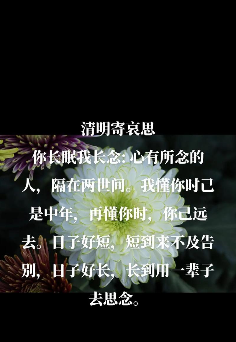 《清明怀人，春意盎然》