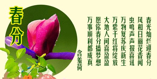 《春分时节，见金句如画》