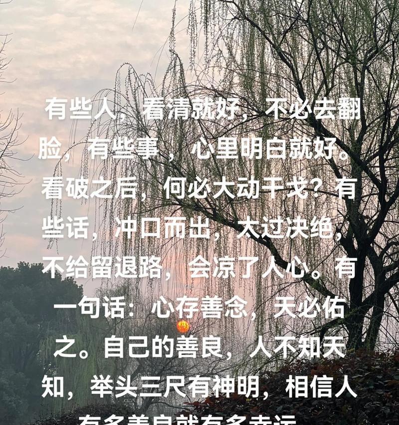 《清明时节雨纷纷，游子行归意绵绵》