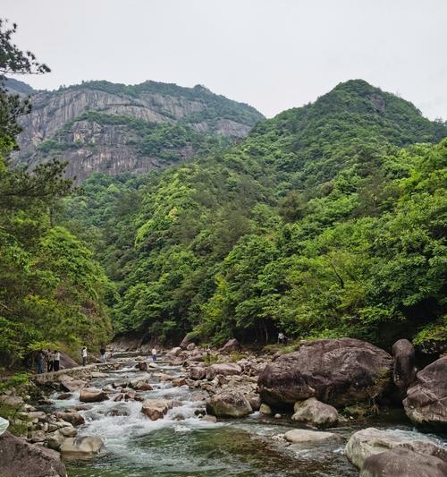 《雨润嶂山，峡谷幽兰绘》