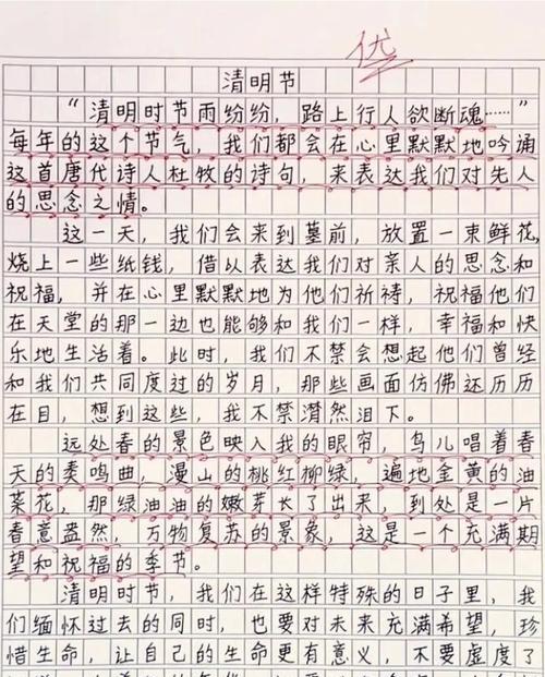 清明节的巧遇