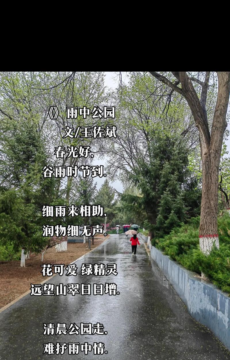 《兰溪谷雨林清歌》