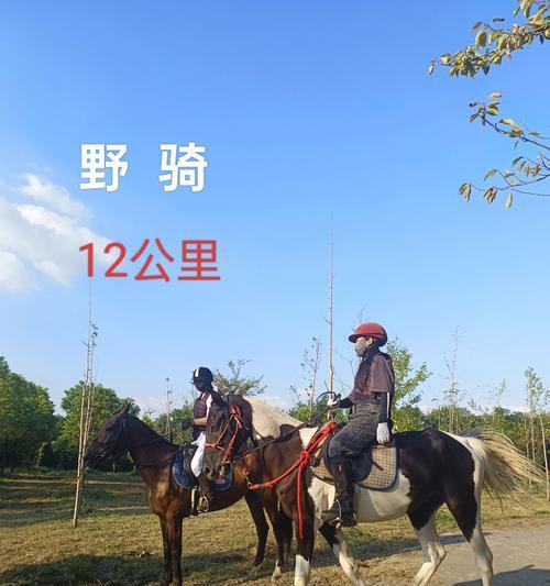 《踏青游骑马记》