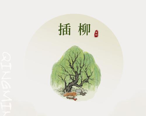 《柳絮飘飘，清明祭》