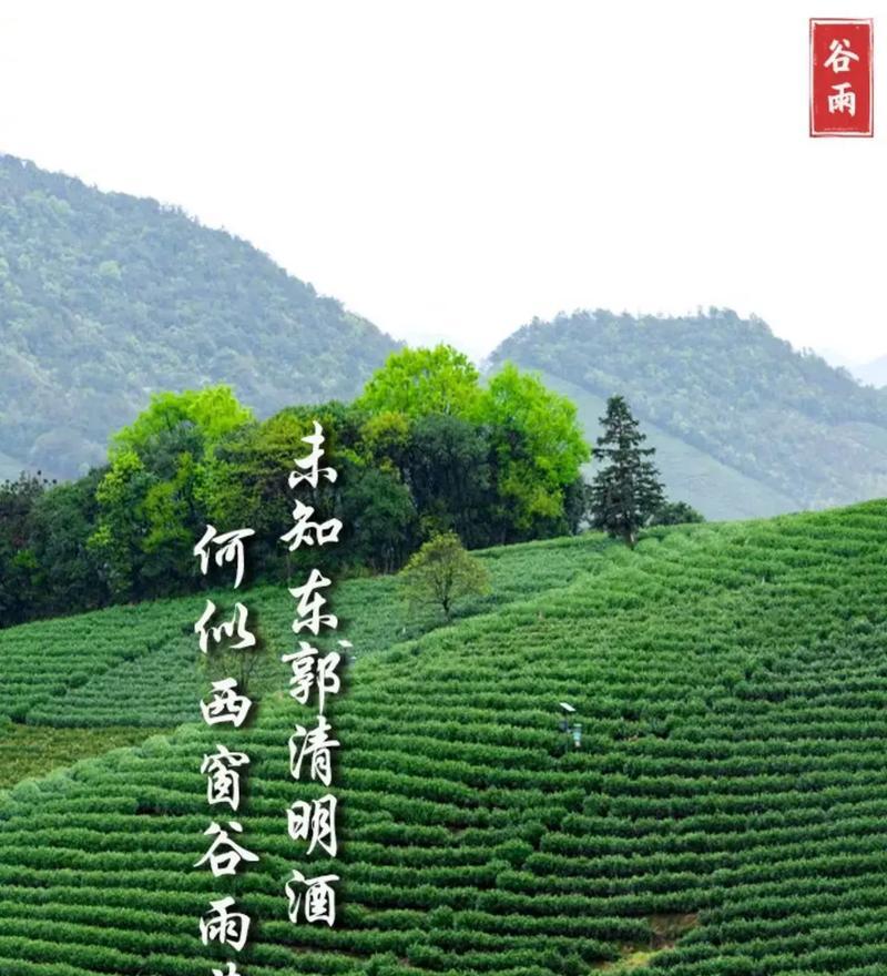 《踏春谷雨行，探幽新疆秘》