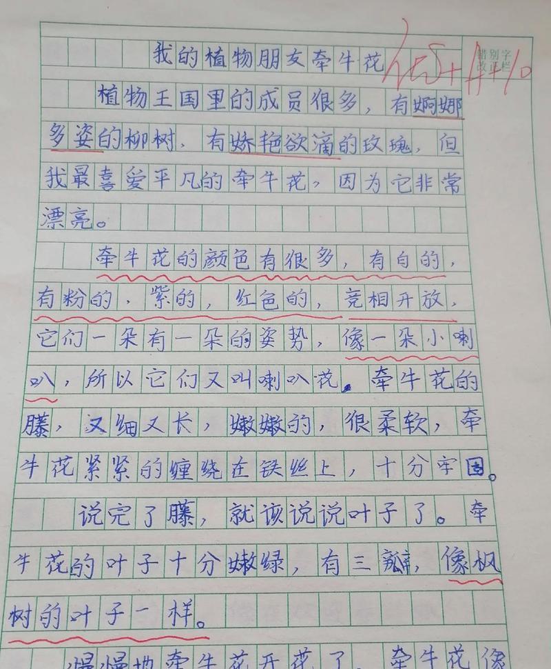 谷雨时节的麦田守望