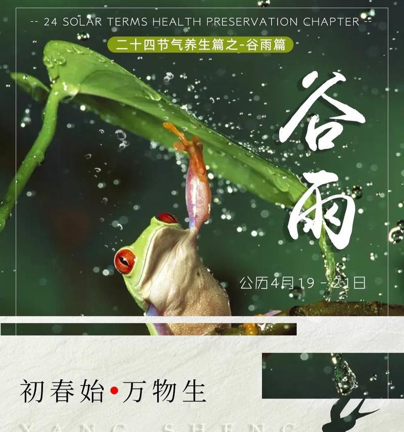 《红豆寄深情，谷雨润心田——古风唯美篇章》