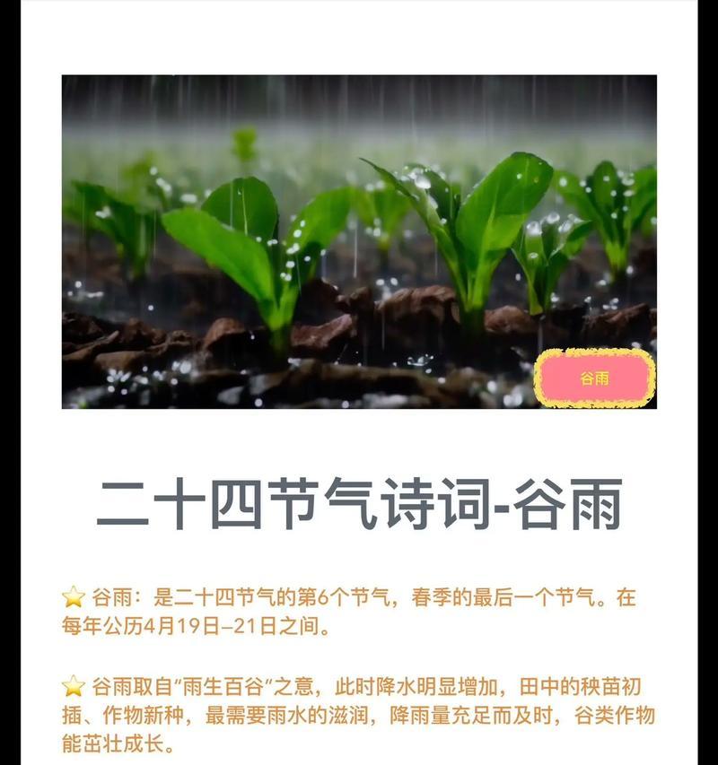 《谷雨时节：东方甄选的诗意领悟》