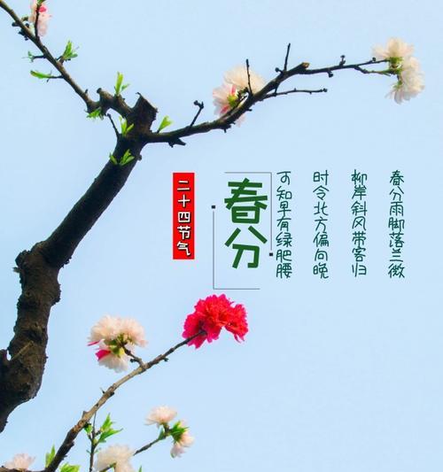 《春分时节·古韵新语》