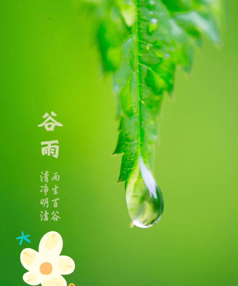 《谷雨润物细无声：春尽夏初的诗意篇章》