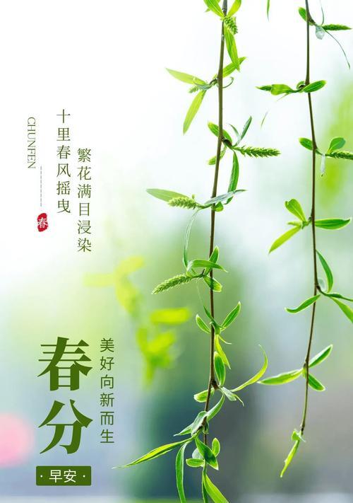 《春分时节，百花竞妍，天地共辉——春分语录》