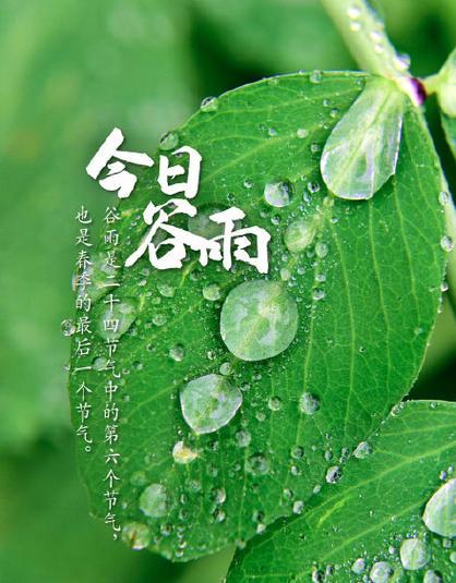 《春归何处，谷雨润心田》