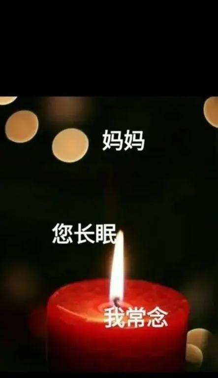 《清明思母：花间一壶酒，不见当年影》