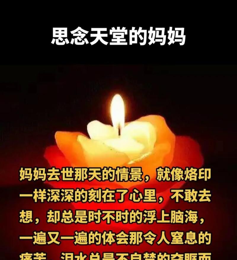《清明思母：花间一壶酒，不见当年影》
