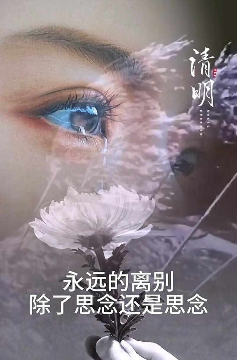 《清明细语：踏青寻古，缅怀先人》