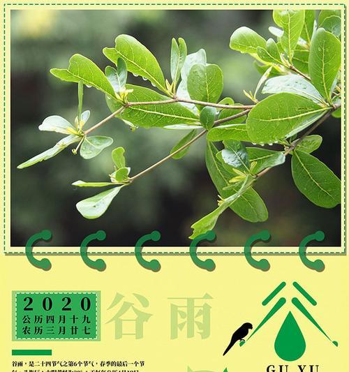 谷雨之韵：春去夏来，天地交和