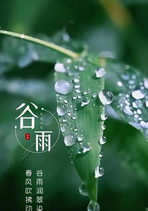 《谷雨拂尘，邂逅芳华——一韵古风的唯美景色》