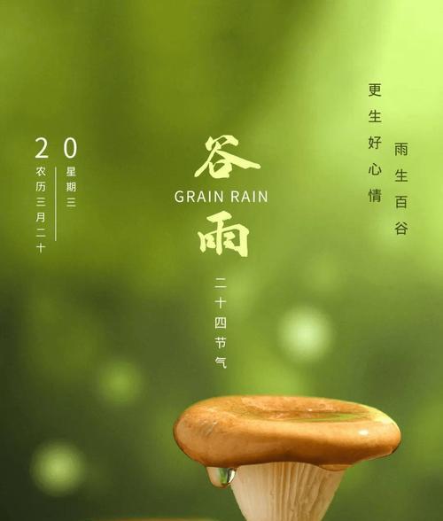 谷雨听声：润物无声，古韵今辉