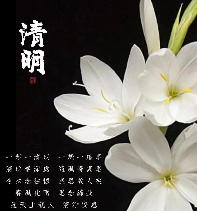 《清明时节忆故人，哀思如丝织古情》