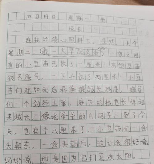 有关谷雨种豆的作文题目