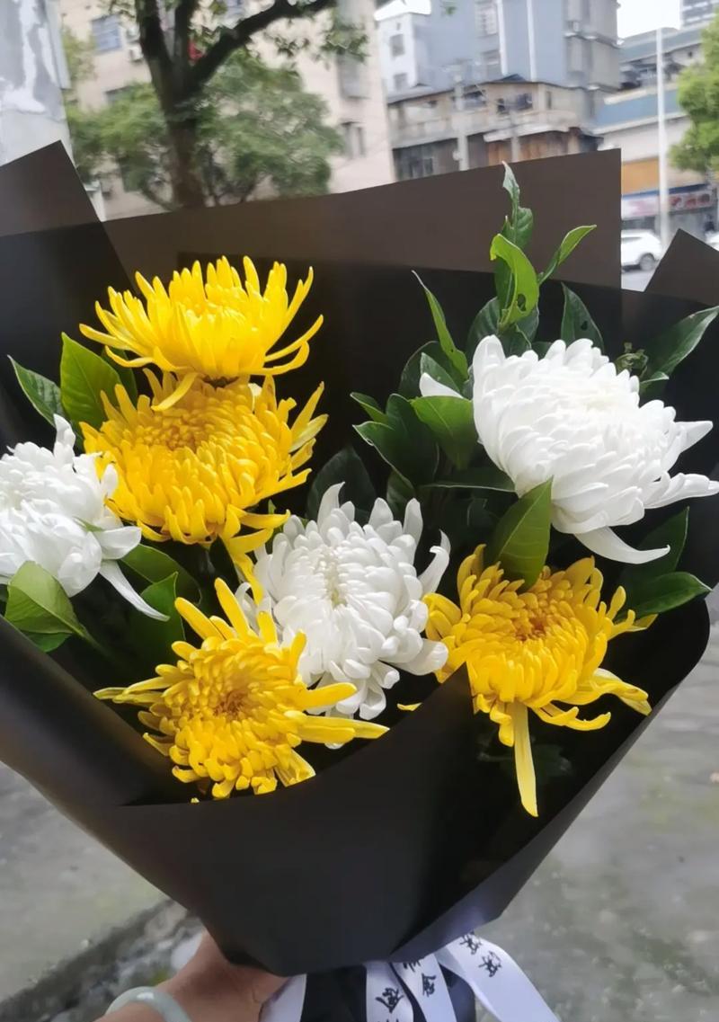 《墨香春祭：清明插柳传情》